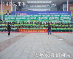 ���[�ĕ����������r(n��ng)�Y���̾W(w��ng)�Ì�(sh��)���C���҂��ǰ�����