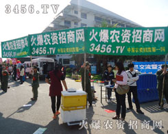 �ߵ������������҂���(ji��n)ͦ�ļ�����