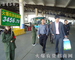 �F���P�P�Ļ𱬏���