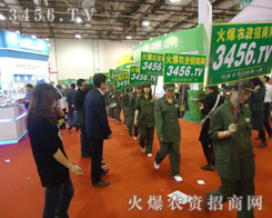 �M�����ĵĻ��r(n��ng)�Y���̾W(w��ng)�F�