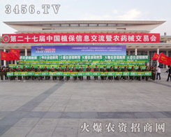 ����ۂ���������