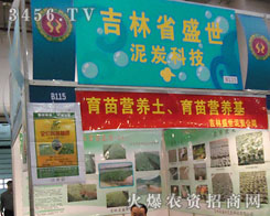 ����ʡʢ��