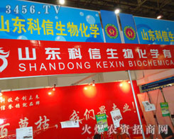 ɽ�|��������