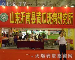 ɽ�|���Ͽh�S�ϰ߲��о���