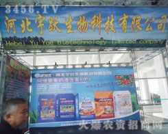 �ӱ����S����Ƽ����޹�˾