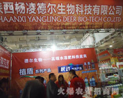 ���� �����Ƽ����޹�˾