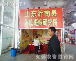 ɽ�|���Ͽh�S�ϰ߲��о���