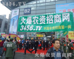 ���������e�O����