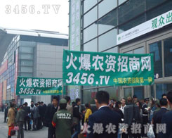 Ŭ����͌�(sh��)�����B(t��i)�țQ���߶�