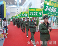 ���r(n��ng)�Y���̾W(w��ng)���(du��)�ǳ�����̫�