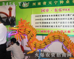 ���w�ഺ�ĳ�����P(y��ng)�����p��Ę��