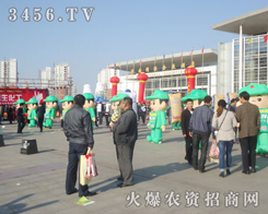 �ߴ�Ӣ���ľGɫ܊�b��ͨ��ģ��������ҫ��