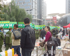 ���\��������ʯ���_�����¿಻���۵Ļ𱬈F�