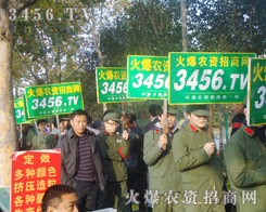 ���L(f��ng)���˝�(j��)�溣���i�e�L(zh��ng)�씈����