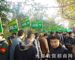 �Gɫ܊�b�����V��͑��P(gu��n)ע��Ŀ������ݰ���