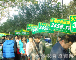 �Gɫ܊�b��ͨ��ģ��������Ą�(chu��ng)������ϲ��(��i)