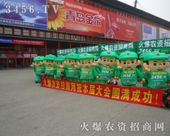 �ഺ�w�P(y��ng)�Ļ��(du��)�������ഺ�͟�Ѫ��(l��i)�^��(zh��n)