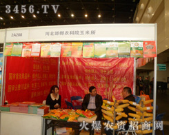 �ӱ������r(n��ng)��Ժ�S���N(xi��o)�۲�