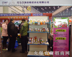 �ӱ��溣�����Z