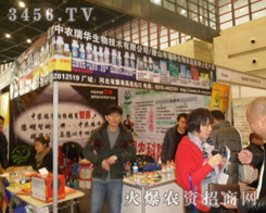 ��ɽ�����A