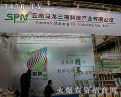 �����R�������Ƽ�