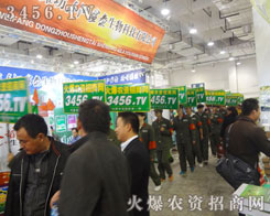 �𱬾W(w��ng)��ȫ���Ը��ğ������^��(zh��n)2012ɽ�|ֲ����(hu��)