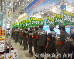 �𱬾W(w��ng)׌���Ҋ�Cһ֧̤���ϸɵĈF�