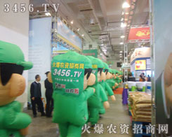 ��ͨ��ģ�����(du��)��׌����һ�N�p�Đ�Ŀ֮��