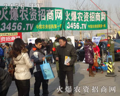 ���g���ε��ƏV