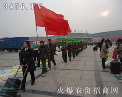 ����ͦ��������-���r(n��ng)�Y���̾W(w��ng)����������