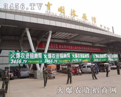 �挦(du��)��������;�������(du��)�]��ֹ��