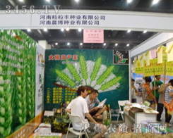 ����ʡ�����S�N�I(y��)���޹�˾