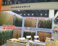 ����ʡ�A�޷N�I(y��)���޹�˾