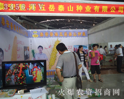 ̩���Ǻ�����̩ɽ�N�I(y��)���޹�˾