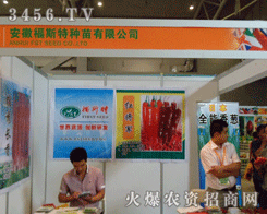 ���ո�˹�طN�����޹�˾