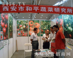 �����к�ƽ�߲��о���