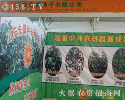 ���h�N�I(y��)���޹�˾