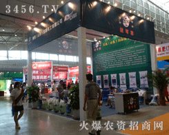 ���ߣ�ɽ�|���������ɸ�