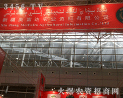 �½������_(d��)