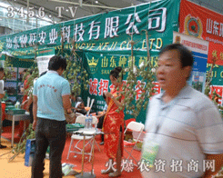 ɽ�|�N���r(n��ng)�I(y��)�Ƽ����޹�˾