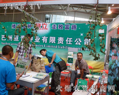 ���݁���N�I(y��)����؟(z��)�ι�˾