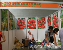 ������˼�؝�(r��n)�N�����޹�˾