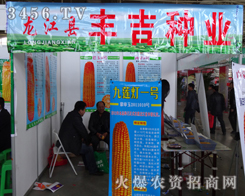 �����h�S���N�I(y��)�N�������6�Ö|��ʡ�N�ӕ�