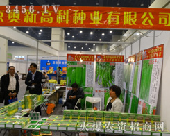 �W�¸߿ƷN�������ݷN�ӕ�(hu��)չ�F(xi��n)���c(di��n)