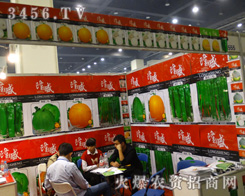 ¡ʢ�N����2013���ݷN�ӕ���ͻ��չλ