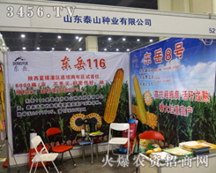 ̩ɽ�N�I(y��)�����ݷN�ӕ�չ�F(xi��n)���c