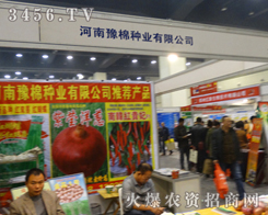 2013���ݷN�ӕ��ϣ�����ԥ�޷N�I(y��)�𱬈���