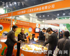 ���r(n��ng)�N�I(y��)�ɹ�����2013���ݷN�ӕ�(hu��)