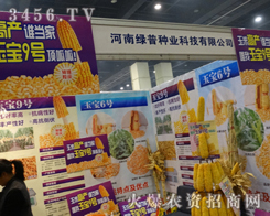 ���ϾG�շN�I(y��)��2013���ݷN�ӕ�(hu��)����ɫ��