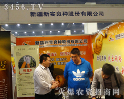 �½���(sh��)���N�ɷ����޹�˾׌���ӡ�����